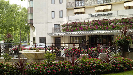 The Dorchester Hotel